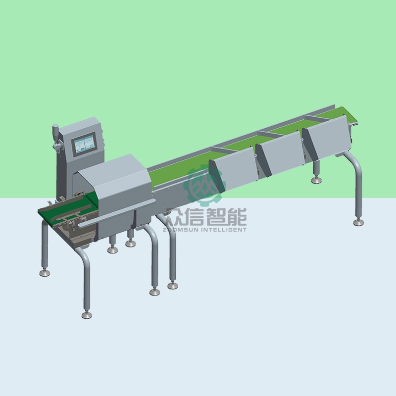 動態(tài)檢重機工程